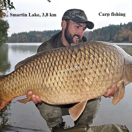 Janja Apartament Vojnik