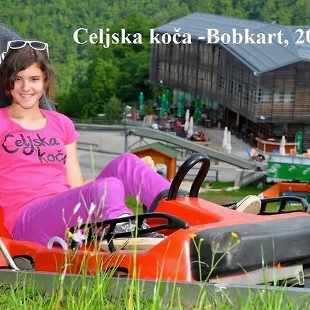 Janja Apartament Vojnik