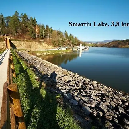 Janja Apartament Vojnik