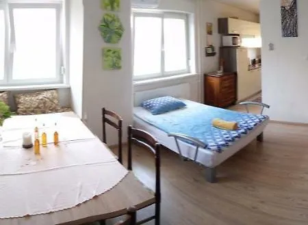 Janja Apartment Vojnik